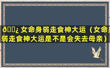 🌿 女命身弱走食神大运（女命身弱走食神大运是不是会失去母亲）